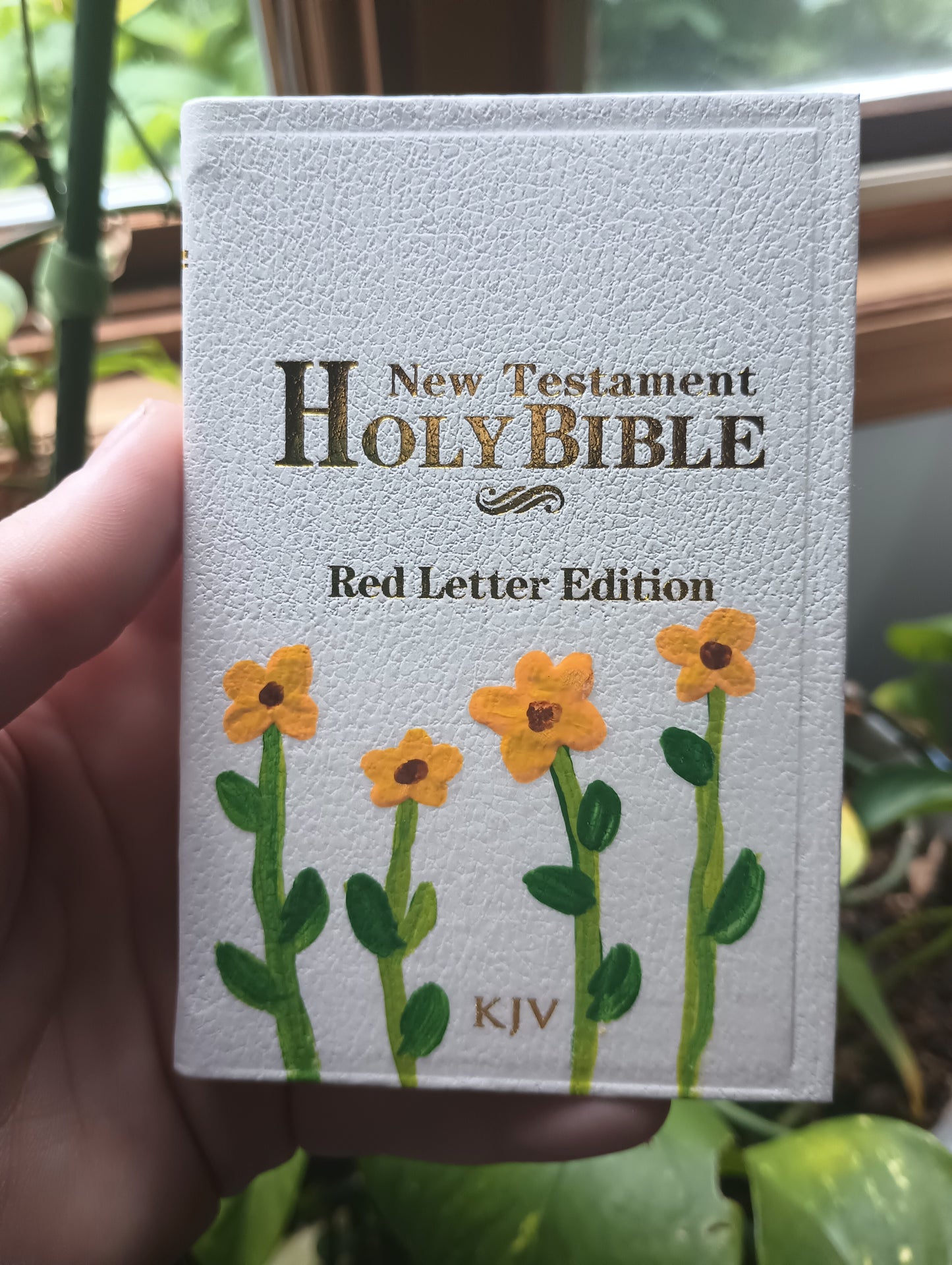 Mini Painted KJV