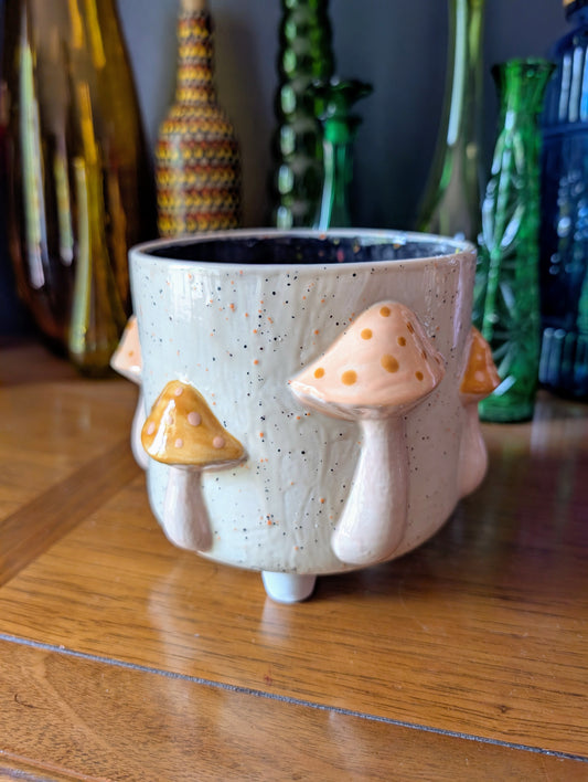 Mushroom Container