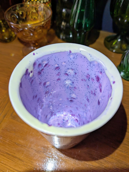 Travel Coffee Mug (with lid)