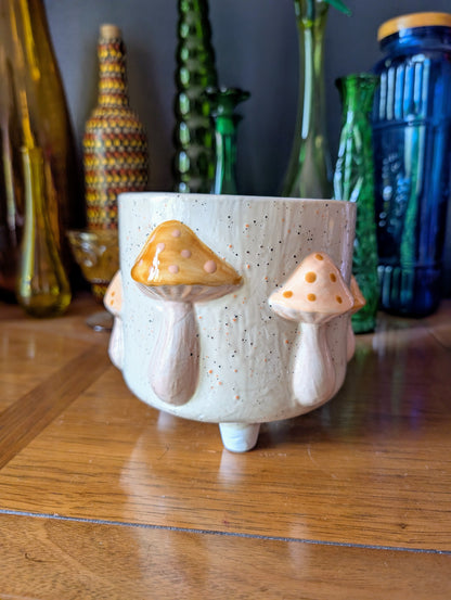 Mushroom Container