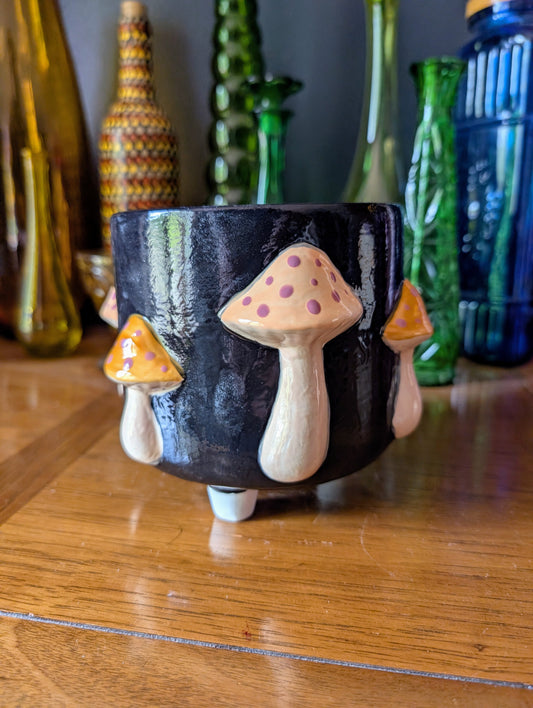 Mushroom Container