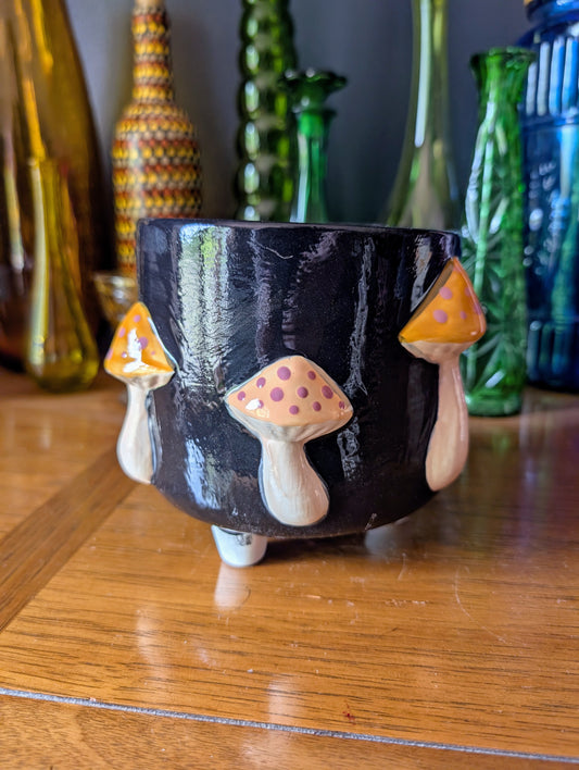 Mushroom Container