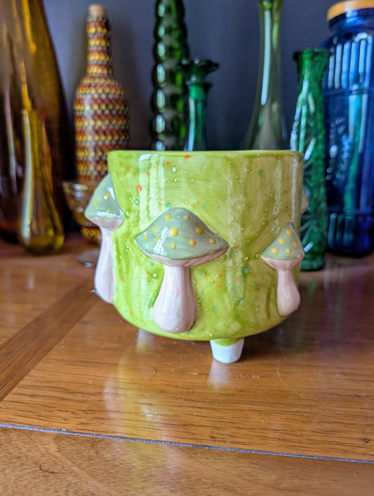 Mushroom Container