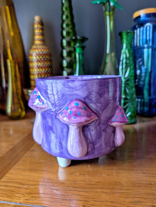 Mushroom Container