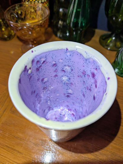 Travel Coffee Mug (with lid)