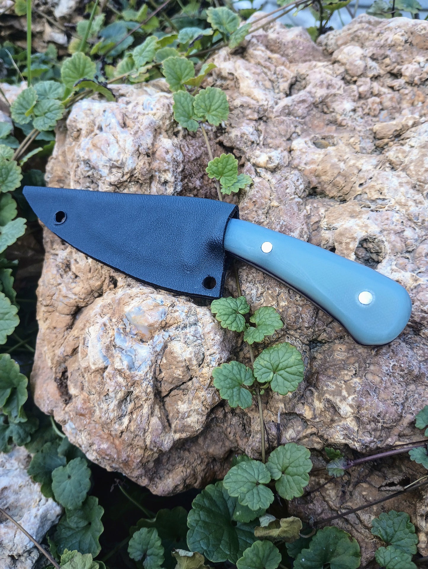 S30V 2 inch Skinner